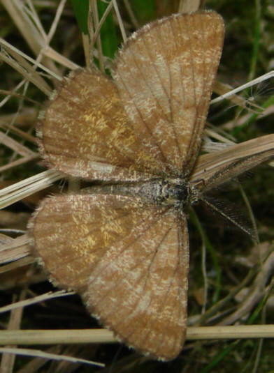 Proszę o pomoc :) Proszę o pomoc :)