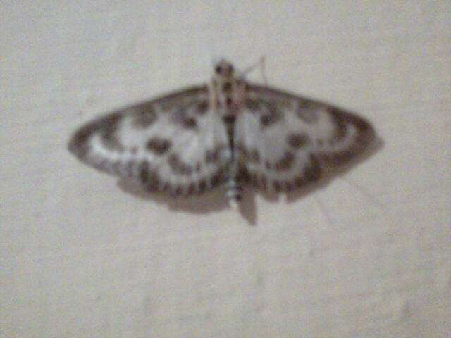 Prosze o pomoc w oznaczeniu