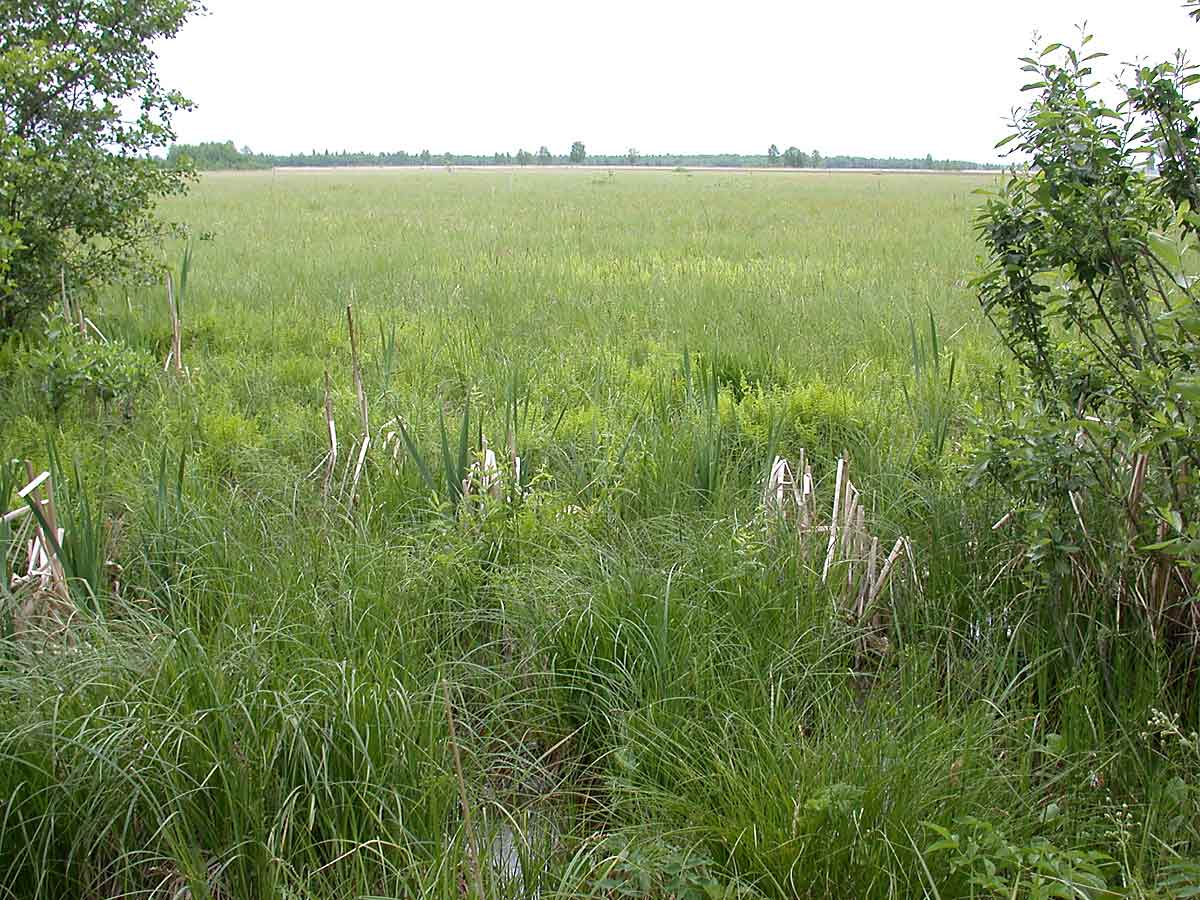 Sympozjum2006 -typowy krajobraz Sympozjum2006 -typowy krajobraz