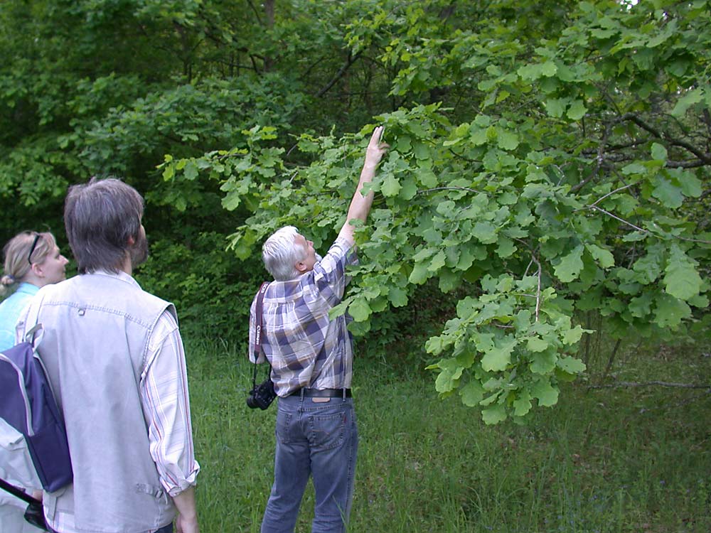 Sympozjum2006 -na upatrzonego Sympozjum2006 -na upatrzonego