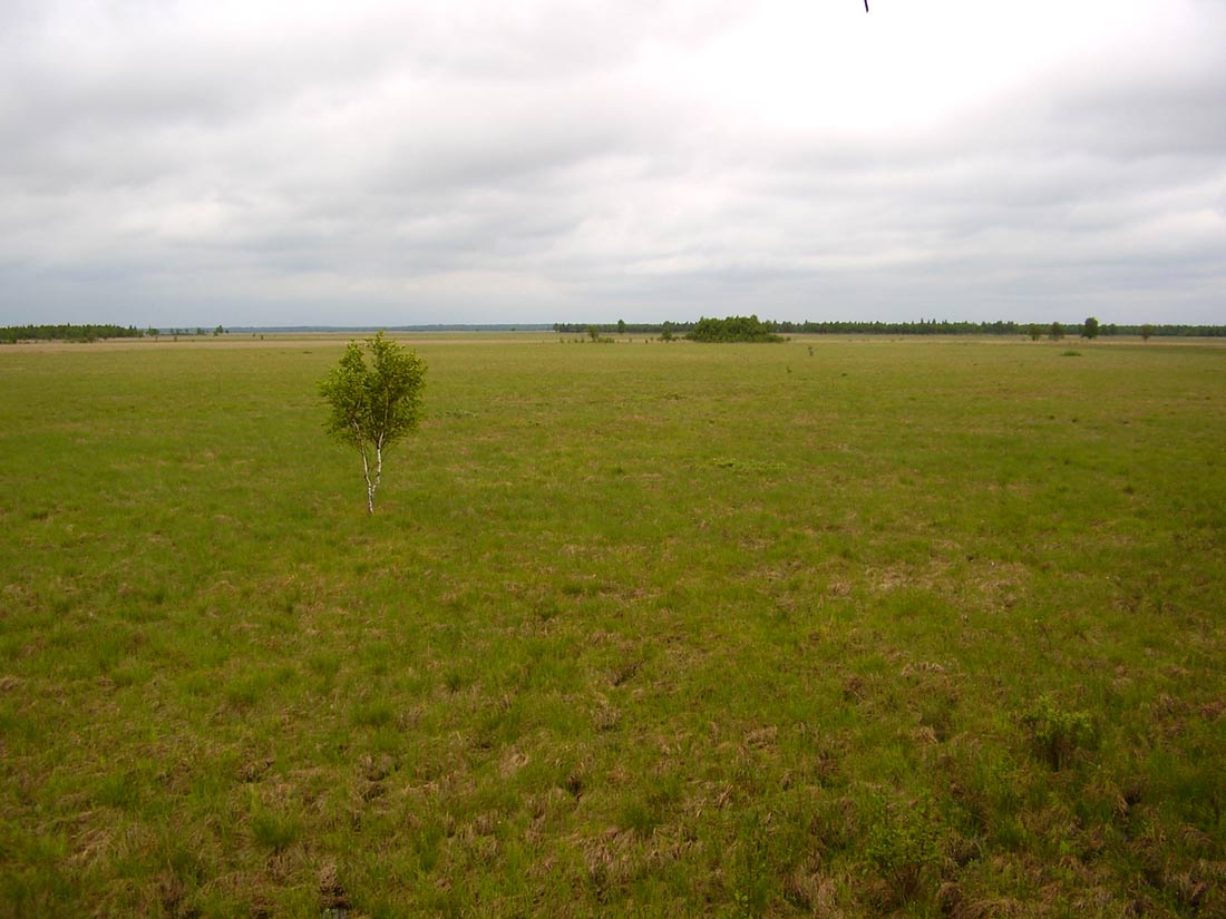 Sympozjum2006 -typowy kraobraz Sympozjum2006 -typowy kraobraz