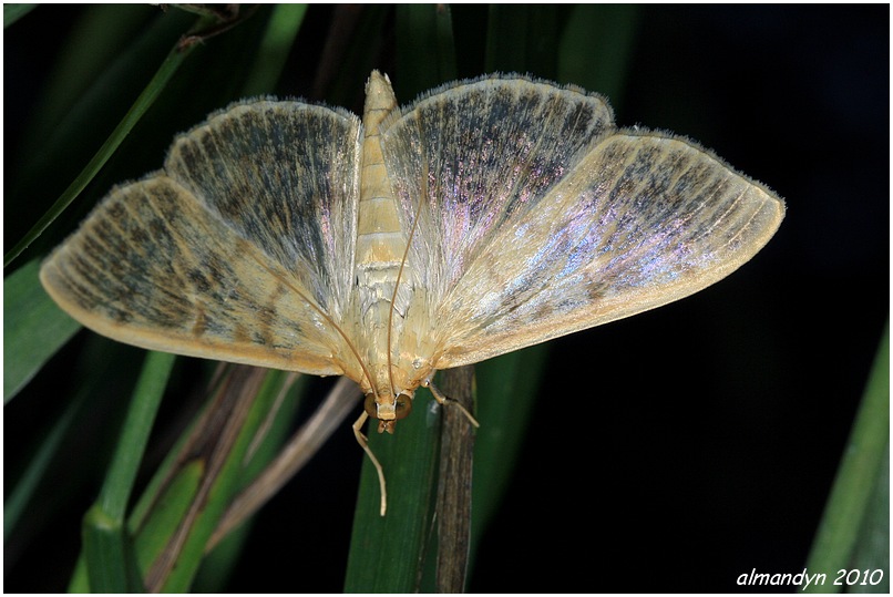 ... po zmierzchu. ... po zmierzchu.