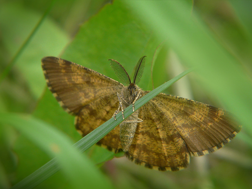 ja w sprawie tuszu do rzęs... dla żony..! ;) ja w sprawie tuszu do rzęs... dla żony..! ;)