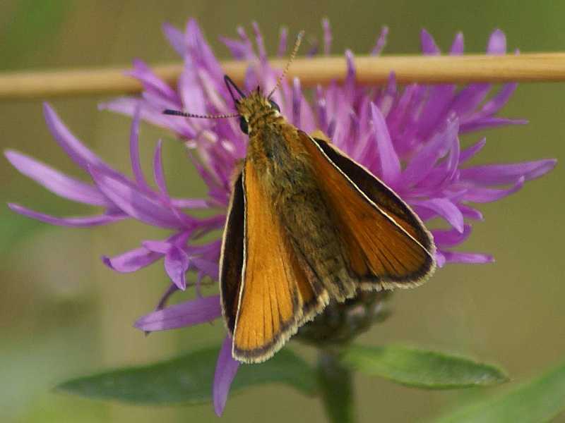 Ktoś pomoże? Ktoś pomoże?