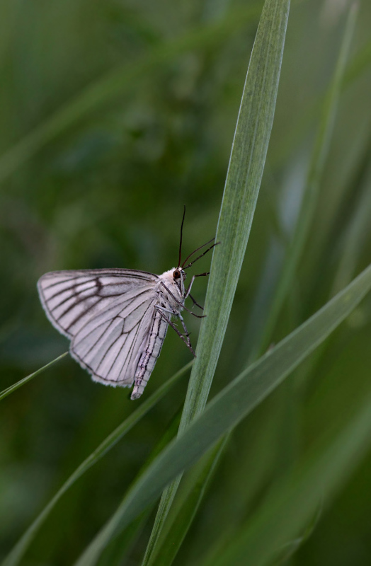 wieczorem... wieczorem...