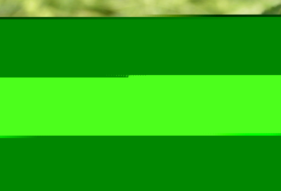 BARCZATKA PUCHOWICA - eriogaster lanestris