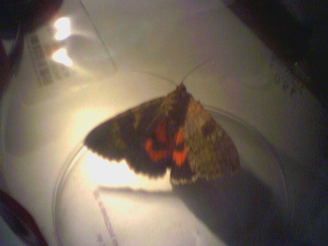 1????????? 1?????????