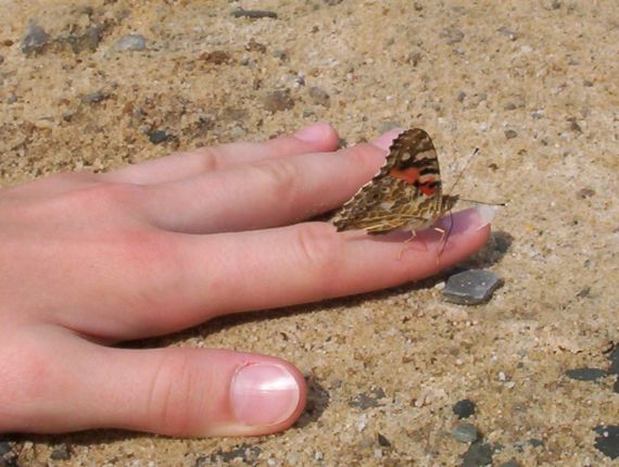 spacerek po ręce spacerek po ręce