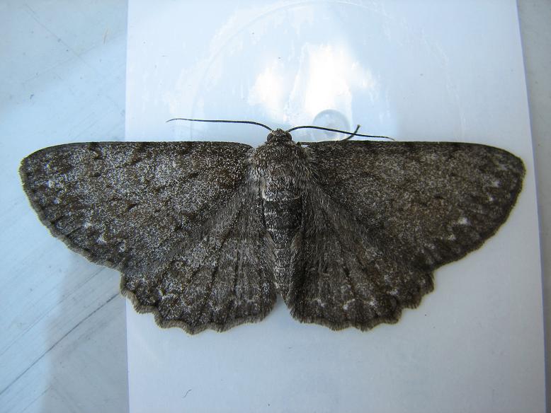 prosz� o oznaczenie