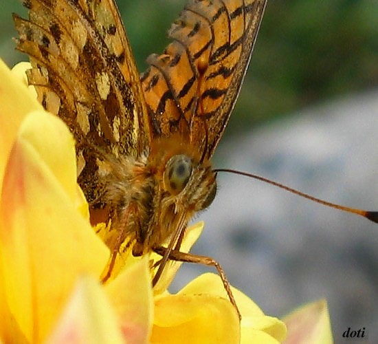 Spojrzenie Spojrzenie