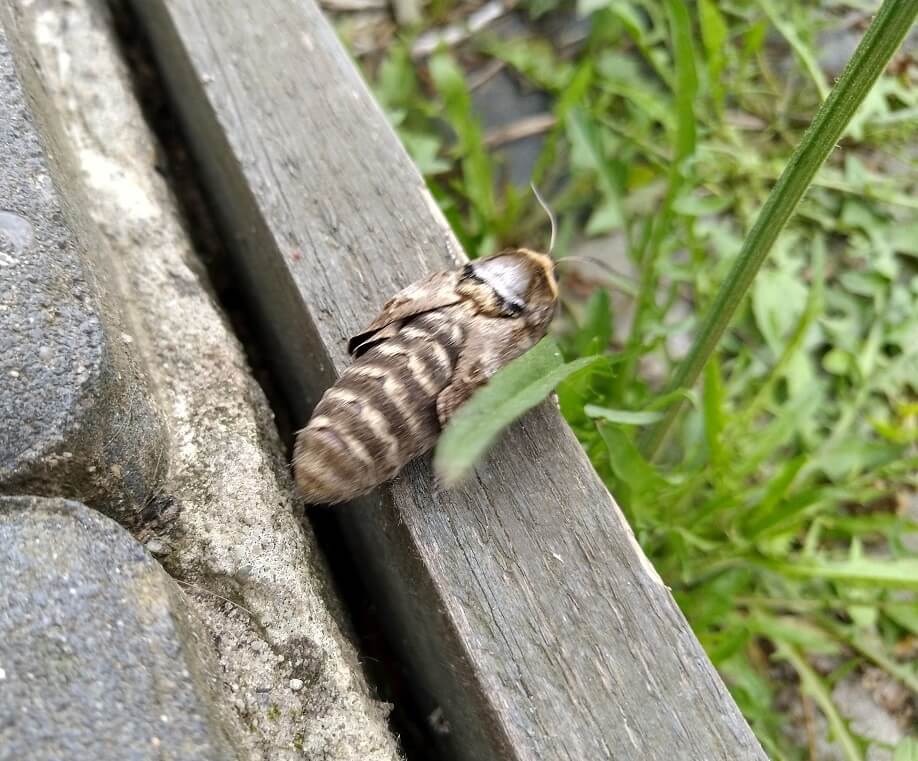 Proszę o oznaczenie Proszę o oznaczenie