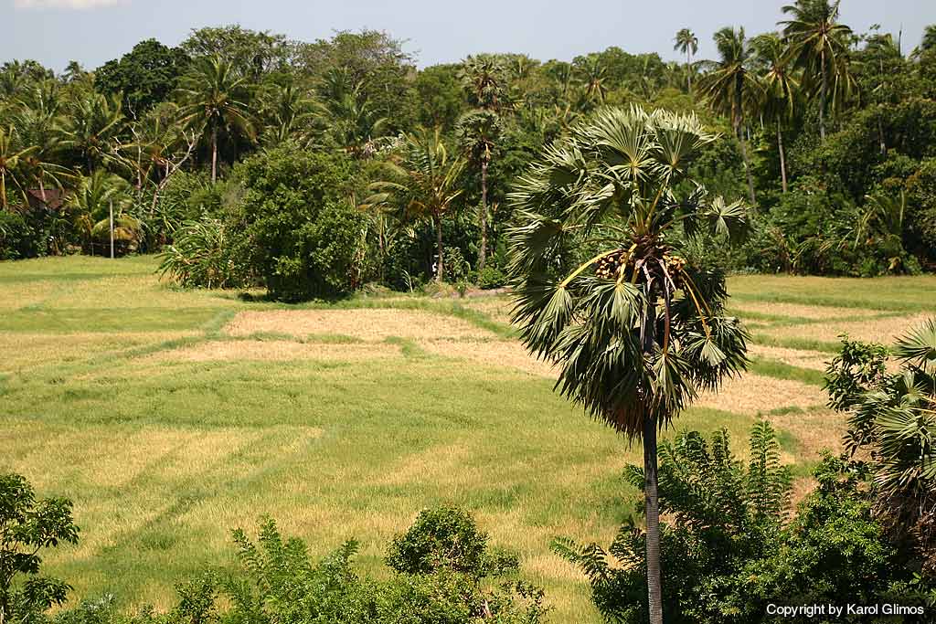 Pollonaruwa, Sri-Lanka