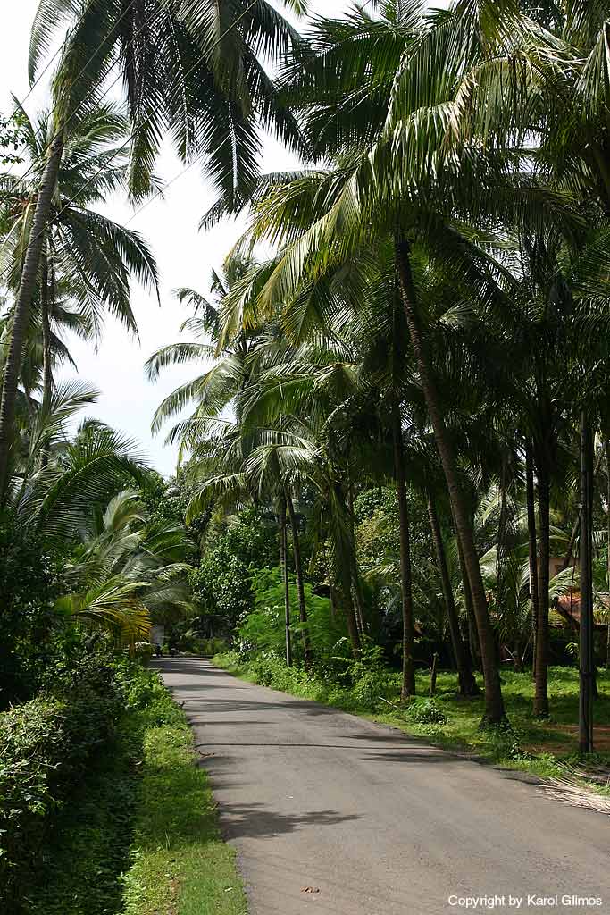 Benaulim, Goa,-Indie