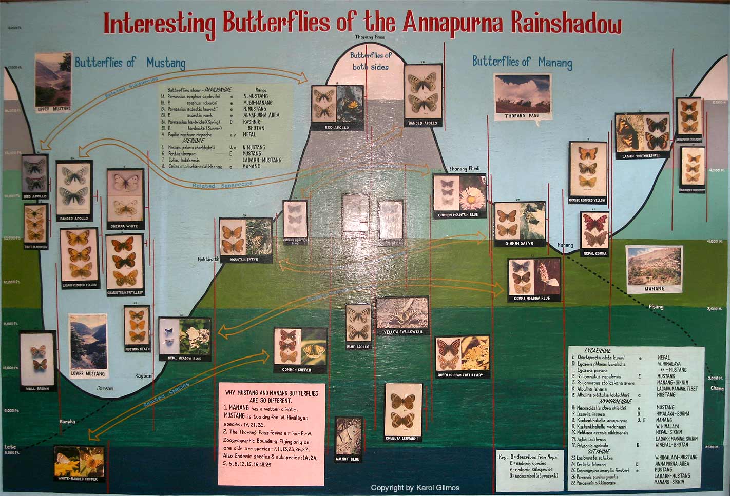 Natural history museum, Pokhara,Nepal Natural history museum, Pokhara,Nepal